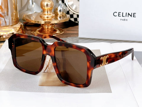 TRIOMPHE SUNGLASS CL4S490 IN ACETATE