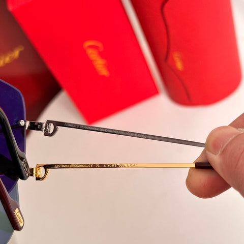 PREMIÈRE NAVIGATOR FRAME SUNGLASSES CT6011S IN METAL