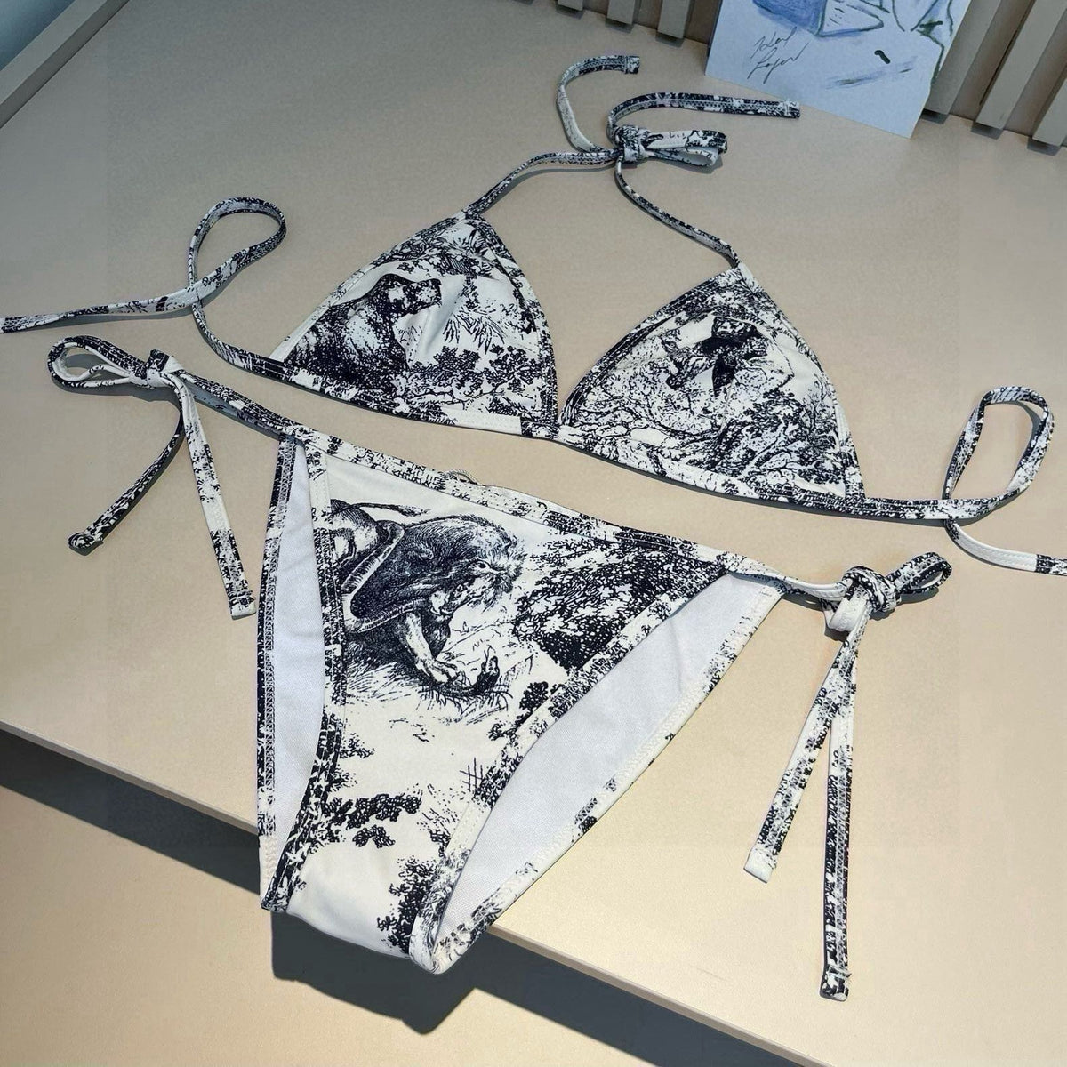 DIOR BIKINI 25S TWO PIECE IN 742646