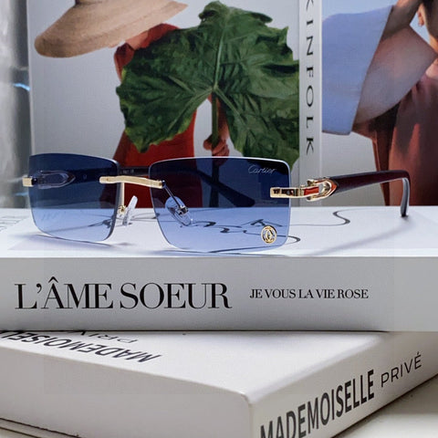 C DE RECTANGULAR FRAME SUNGLASSES 555890 IN METAL AND ACETATE